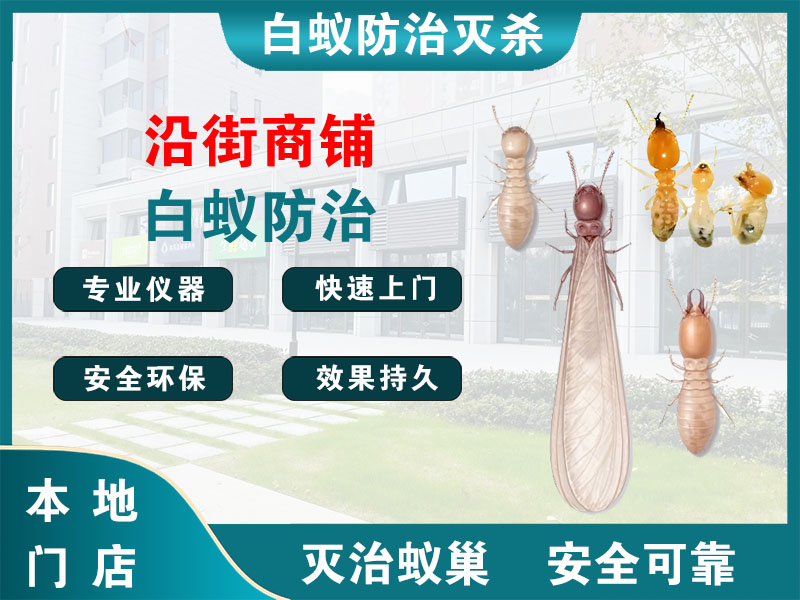 崇明沿街商铺白蚁防治