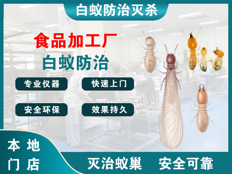 崇明食品加工厂白蚁防治