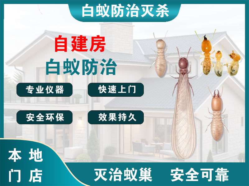 崇明自建房白蚁防治