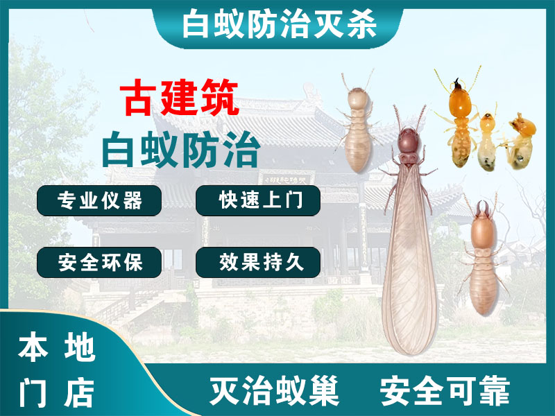 崇明古建筑白蚁防治
