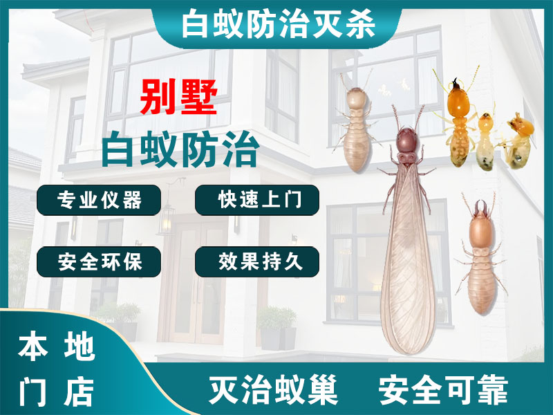 崇明别墅白蚁防治